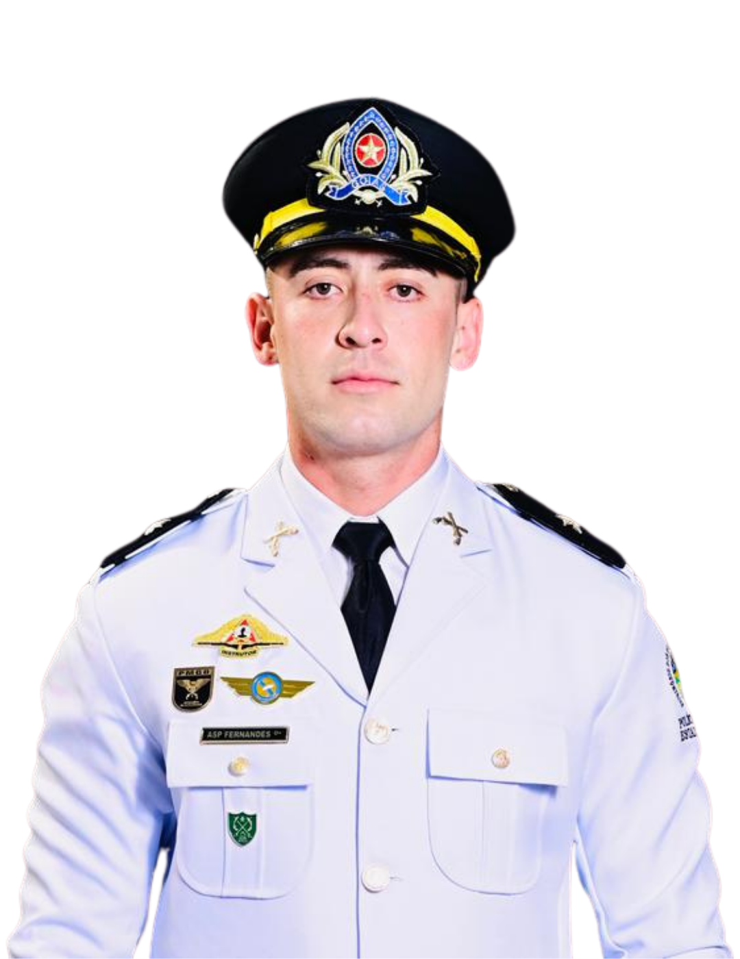 R. Fernandes - CFO PMDF